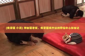 (我家猫 小说) 神秘猫老板，我家猫咪开设的修仙中心探秘记